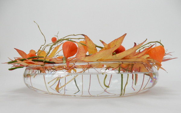 Fall leaves, Physalis and willow