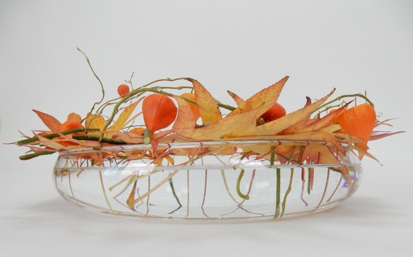 Fall leaves, Physalis and willow Fall leaves, Physalis and willow