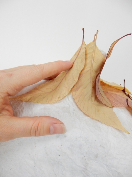 Glue the leaves around the stem of the paper pumpkin-pod Glue the leaves around the stem of the paper pumpkin-pod
