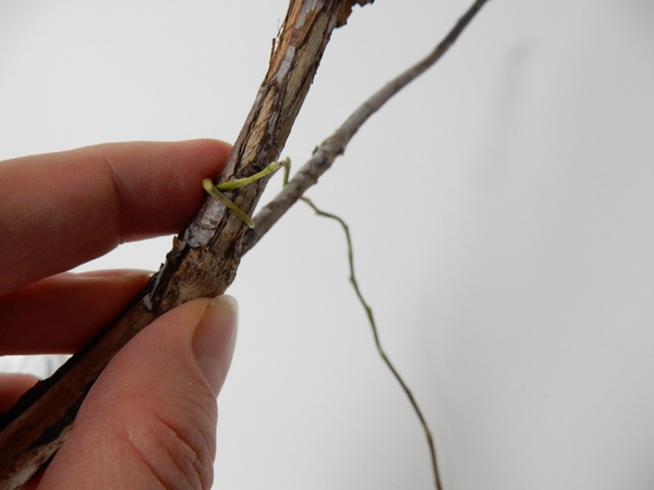 Make sure you catch the tip by winding the stem over it Make sure you catch the tip by winding the stem over it