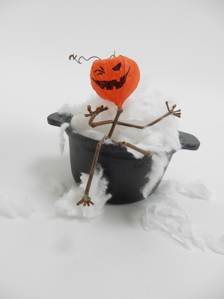 Physalis head stick man Physalis head stick man