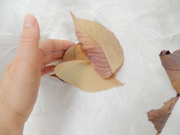 Place the next leaf so that it props up the first two Place the next leaf so that it props up the first two