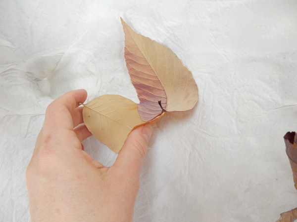 Place the second leaf just under the first Place the second leaf just under the first