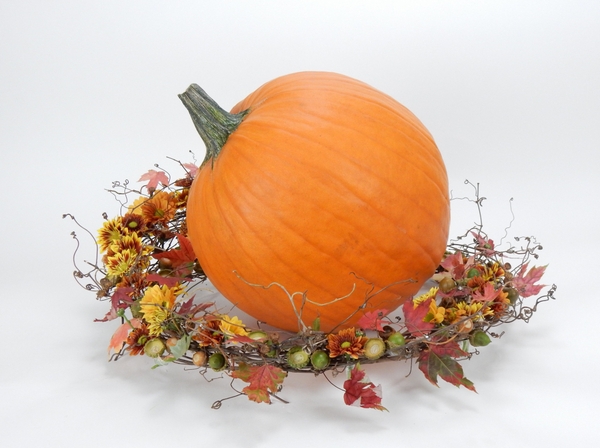 Pumpkin display Pumpkin display