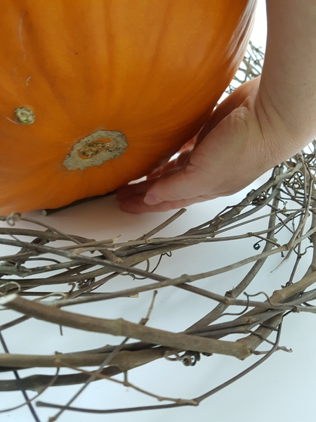 Slip a tiny vine snipped under the pumpkin so that it does not roll around in the display Slip a tiny vine snipped under the pumpkin so that it does not roll around in the display