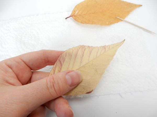Turn the leaf so that the muted underside faces outward to create a more understated Autumn colour scheme . Turn the leaf so that the muted underside faces outward to create a more understated Autumn colour scheme .