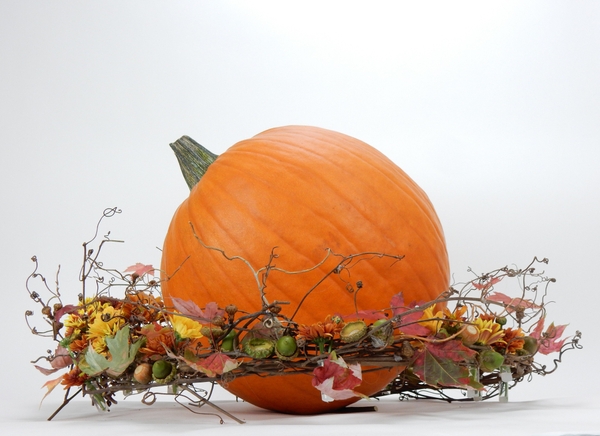Whipped up in the autumn breeze floral art design Whipped up in the autumn breeze floral art design