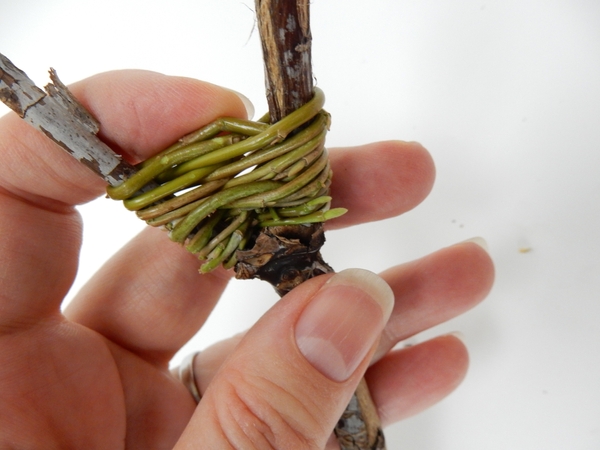 Wiggle the end of one stem into the figure eight Wiggle the end of one stem into the figure eight