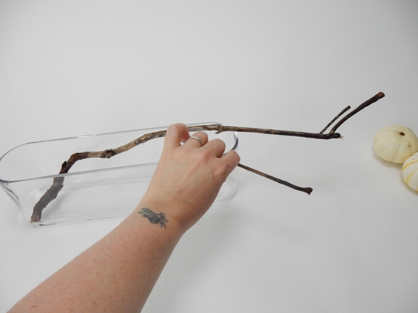 You will need a sturdy twig to rest on a shallow container You will need a sturdy twig to rest on a shallow container