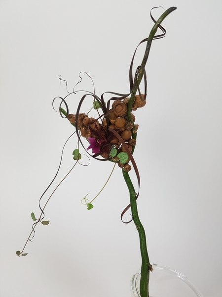 Acorn, rosary vine, willow, flax and an oncidium orchid autumn design Acorn, rosary vine, willow, flax and an oncidium orchid autumn design