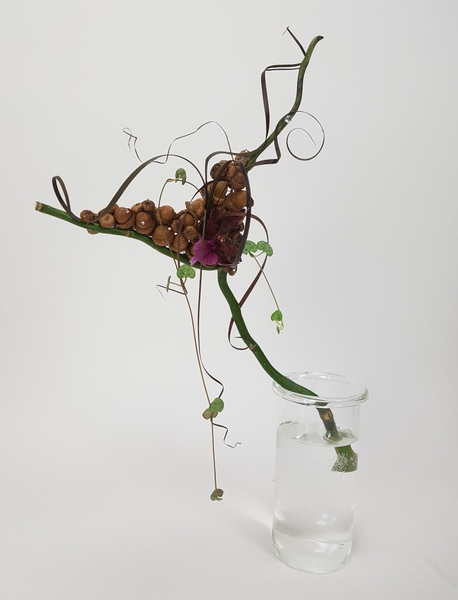 Acorn, rosary vine, willow, flax and an oncidium orchid autumn wand design Acorn, rosary vine, willow, flax and an oncidium orchid autumn wand design