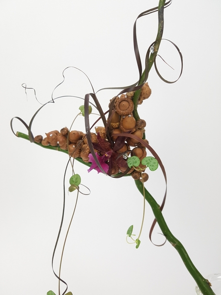 Acorn, rosary vine, willow, flax and an oncidium orchid fall design Acorn, rosary vine, willow, flax and an oncidium orchid fall design