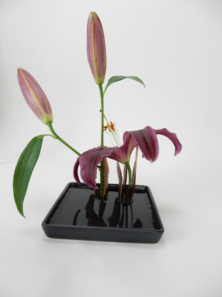 Autumn floral design Autumn floral design