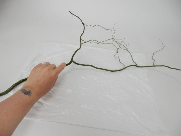 Choose a fresh, green twig with a nice fork in the branches Choose a fresh, green twig with a nice fork in the branches
