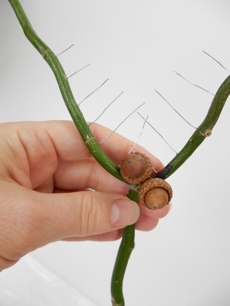 Glue in the acorns to build up the armature Glue in the acorns to build up the armature