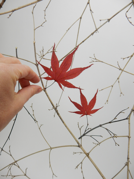 Glue the leaves to the screen with a tiny drop of hot glue