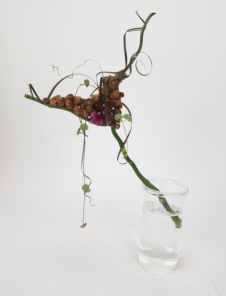 How do squirrels Cache a tree floral art design How do squirrels Cache a tree floral art design