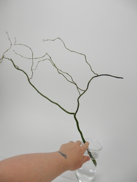 Place the twig in your container and cut it to size Place the twig in your container and cut it to size