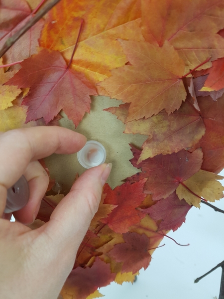 Sink the water tubes into the cardboard hole at an angle Sink the water tubes into the cardboard hole at an angle