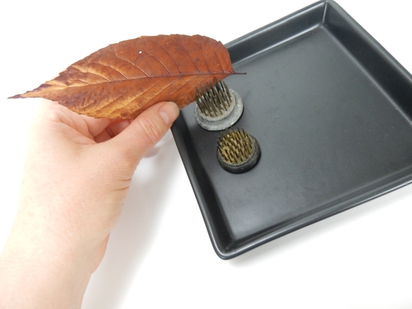 Slip a leaf to rest between the metal teeth of the Kenzan Slip a leaf to rest between the metal teeth of the Kenzan