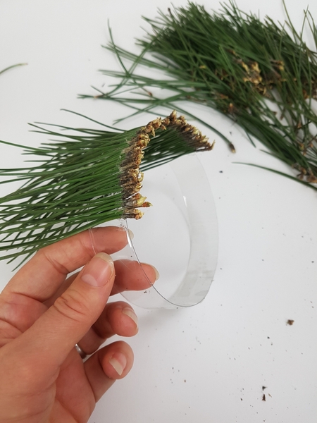 Add needles all around the ring Add needles all around the ring