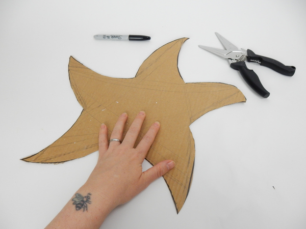 Draw a star shape on sturdy cardboard