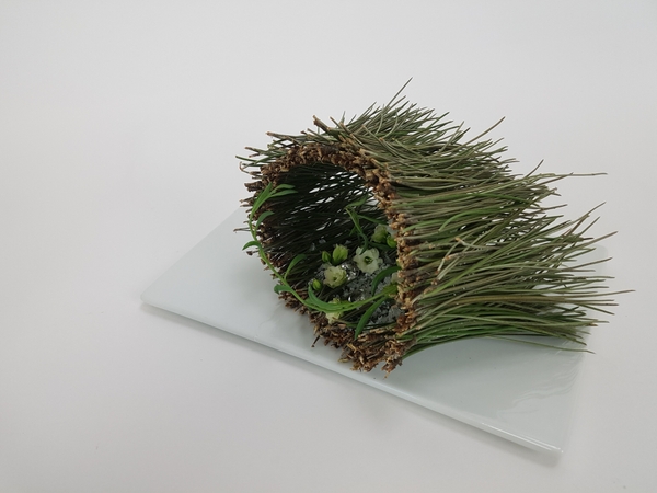 Glued pine needles Glued pine needles