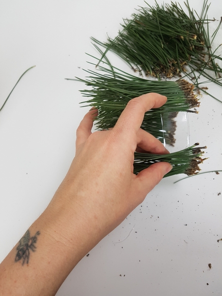 Keep pressing the needles together so that they fit snugly Keep pressing the needles together so that they fit snugly