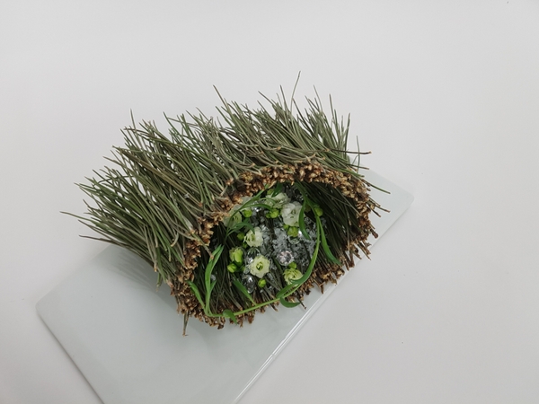 Pine tube Pine tube