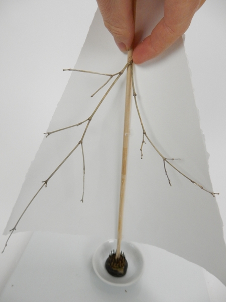 Start to shape the tree. Start to shape the tree.