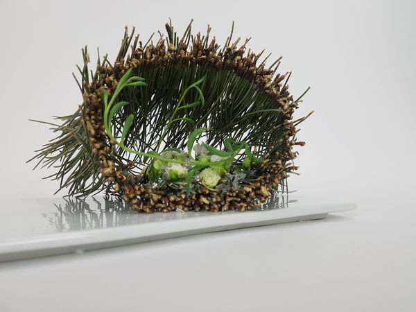 Succulents inside the tube Succulents inside the tube