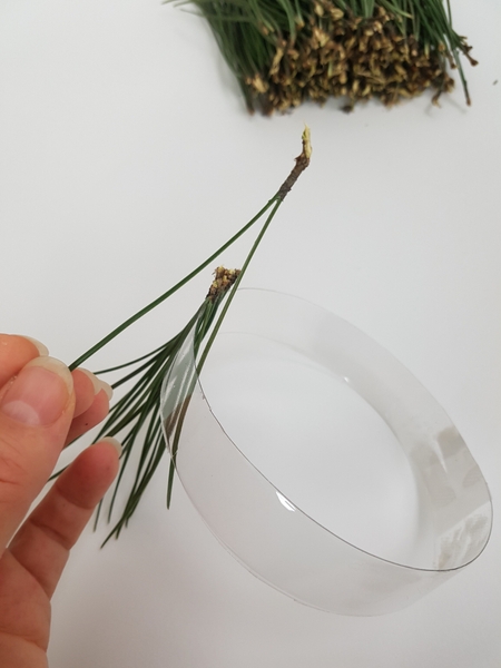Using the natural connection to keep the needles together around the ring Using the natural connection to keep the needles together around the ring