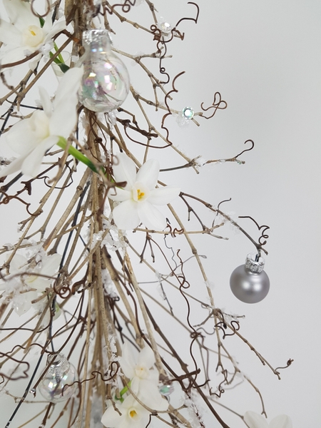Vine tendrils Vine tendrils