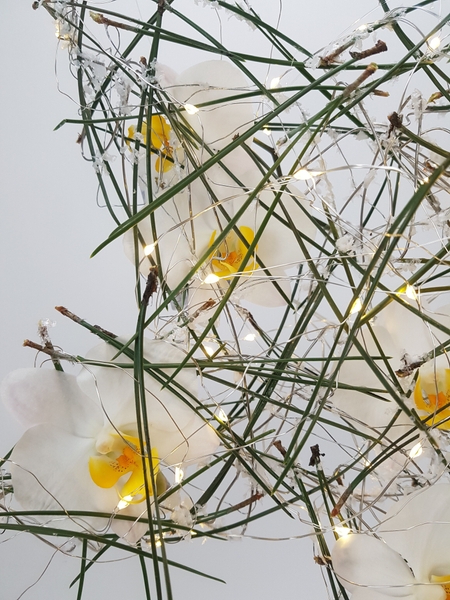 Wire, Phalaenopsis and pine star. Wire, Phalaenopsis and pine star.