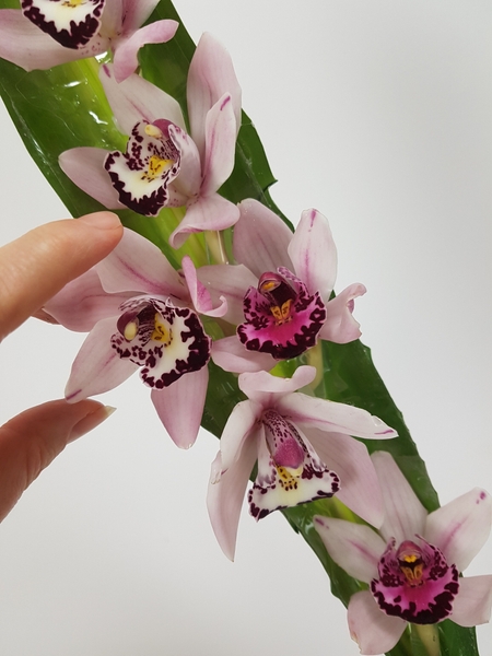 Fill the tubes with water and add the flowers Fill the tubes with water and add the flowers