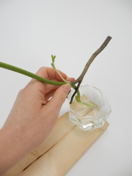 Fit a flower stem between the twig and the vase Fit a flower stem between the twig and the vase