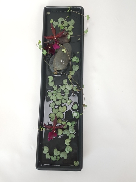 Flowering Between a Rock and a Hard place floral art design Flowering Between a Rock and a Hard place floral art design