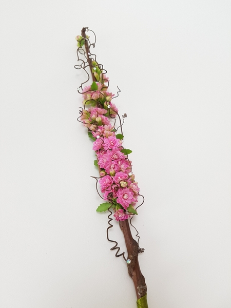 Kalanchoe flower wand