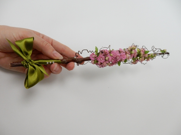 Kalanchoe Kalanchoe