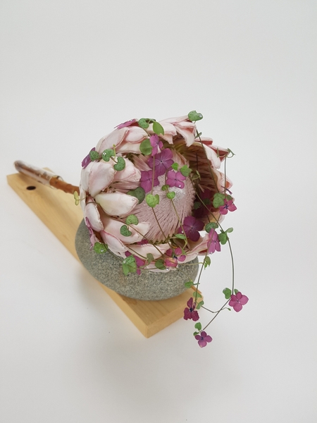 Long lasting flower arrangement Long lasting flower arrangement