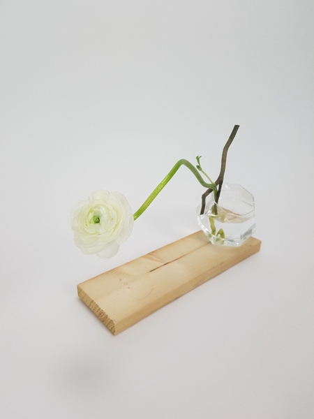 Ranunculus flower arranging design Ranunculus flower arranging design