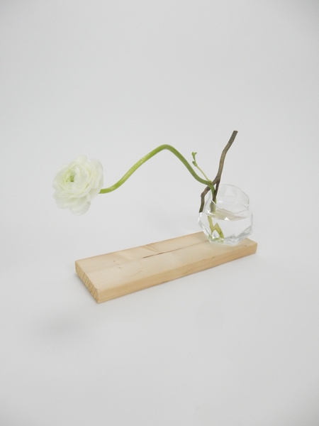 Ranunculus Hana Kubari Ranunculus Hana Kubari