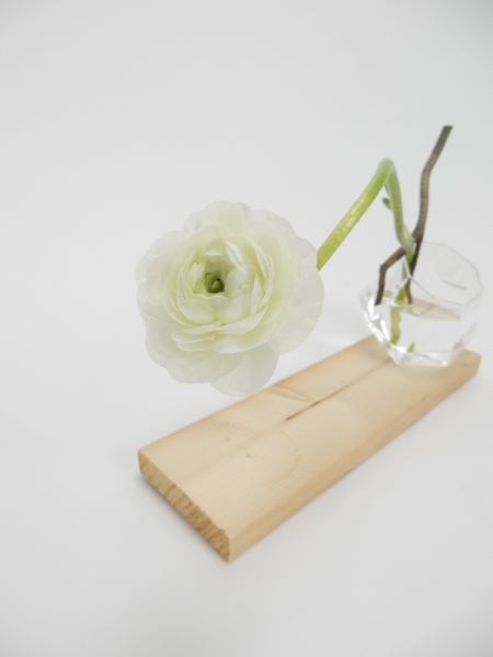 Ranunculus Ranunculus