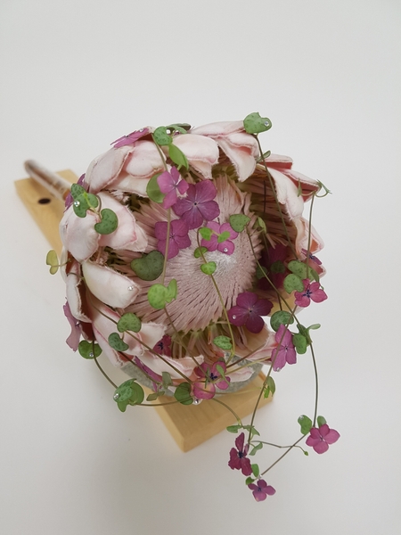 Shades of pink floral design Shades of pink floral design