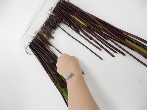 Alternate between the two coloured stems. Alternate between the two coloured stems.