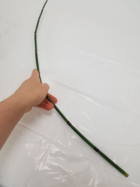 Bend the stem carefully to curve Bend the stem carefully to curve