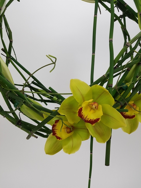 Cymbidium and Equisetum wreath Cymbidium and Equisetum wreath