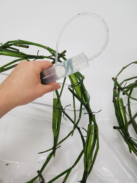 Fill the tube with water Fill the tube with water