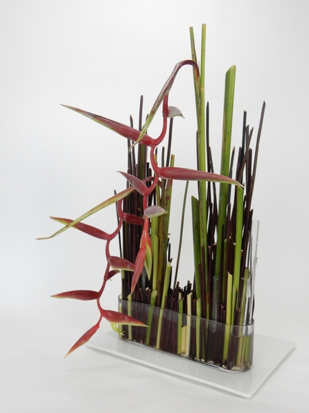 Hanging heliconia stem armature flower arrangement. Hanging heliconia stem armature flower arrangement.