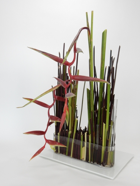 Hanging heliconia stem armature flower arrangement.